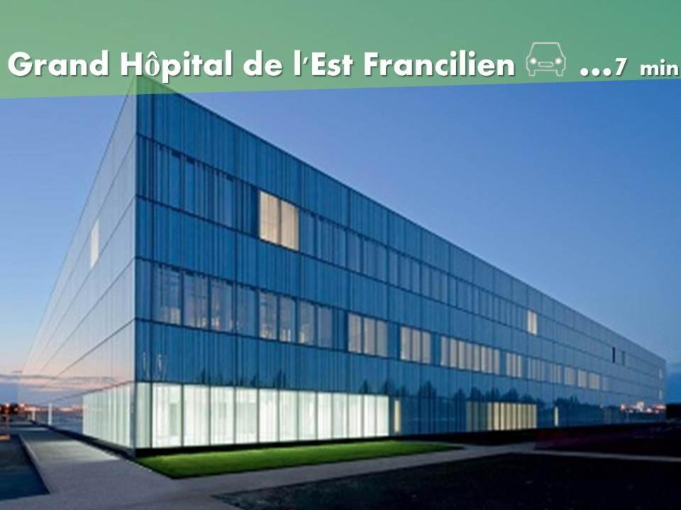Appartement De Charme Disneyland Paris - Nidouest Chanteloup En Brie Ngoại thất bức ảnh